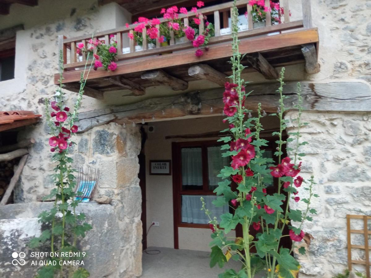 Belaustegi Turismo Rural Ispáster Exterior foto