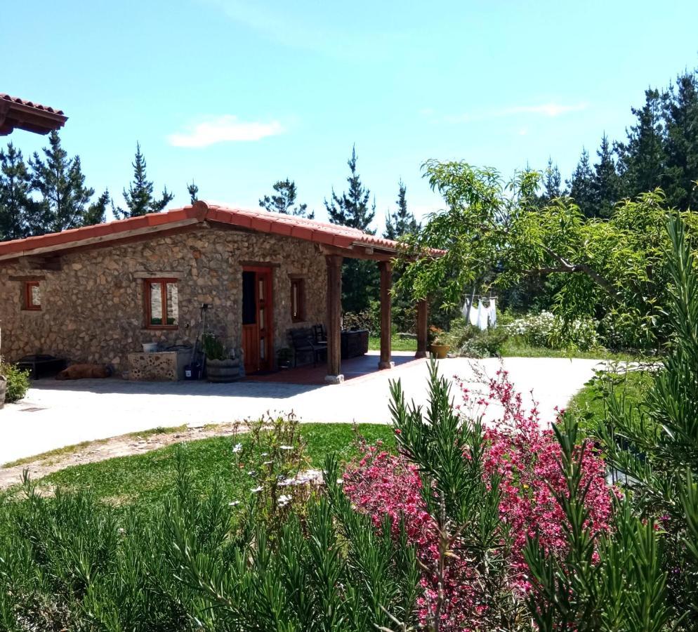 Belaustegi Turismo Rural Ispáster Exterior foto